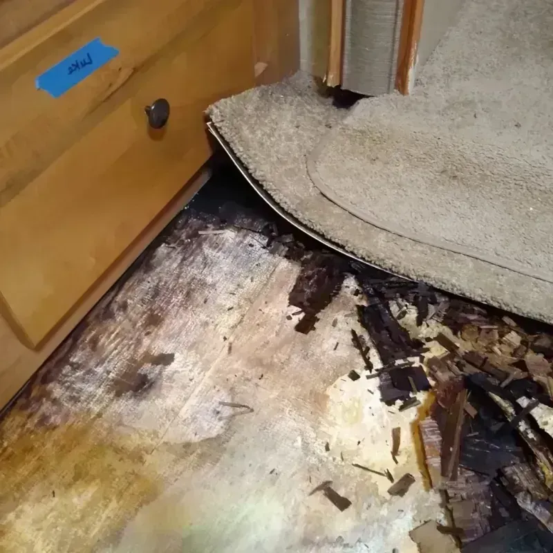 Wood Floor Water Damage in Clayton, AL